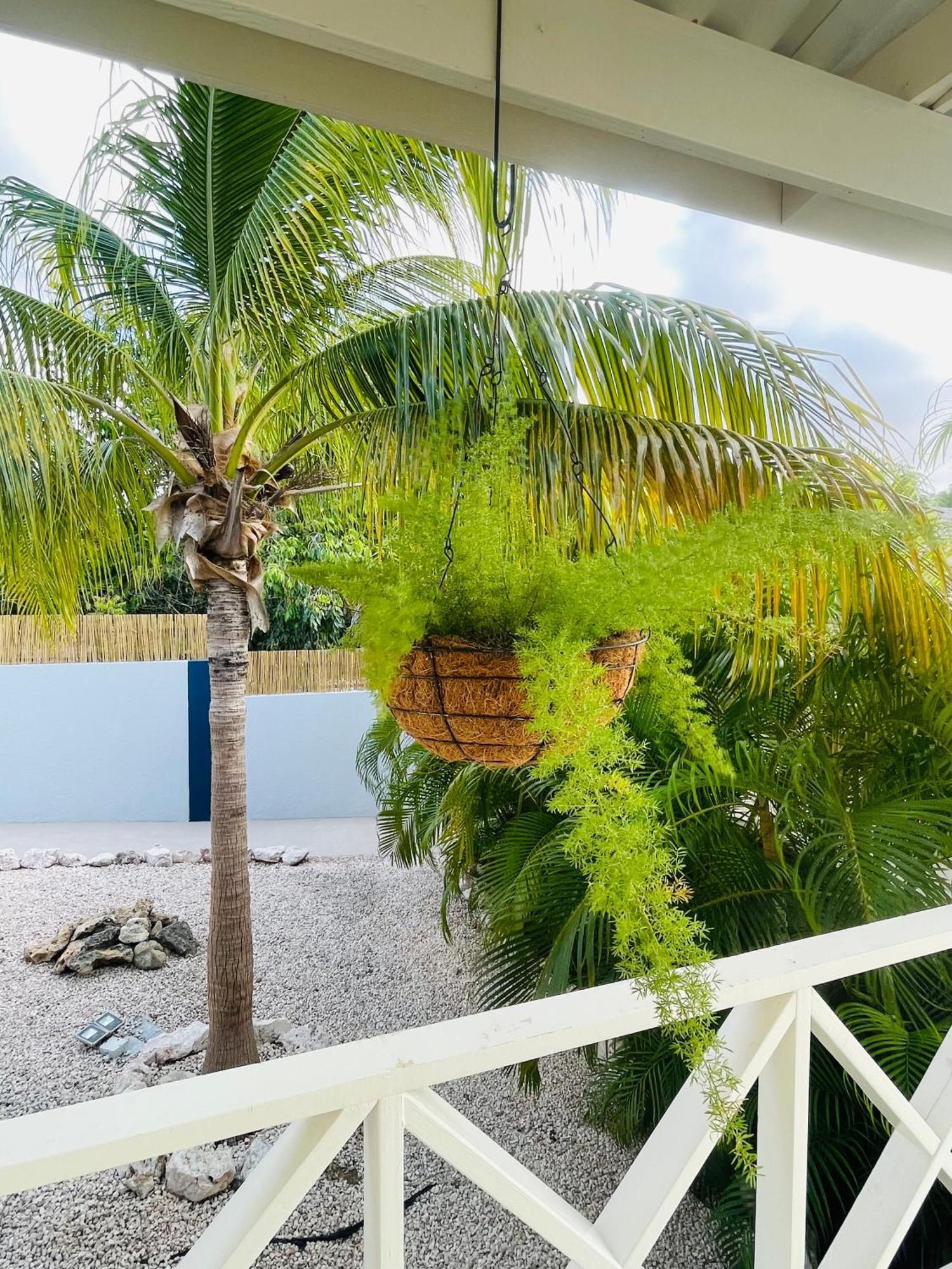 Mini Resort Kaya Verdi วิลเลมสตัด ภายนอก รูปภาพ