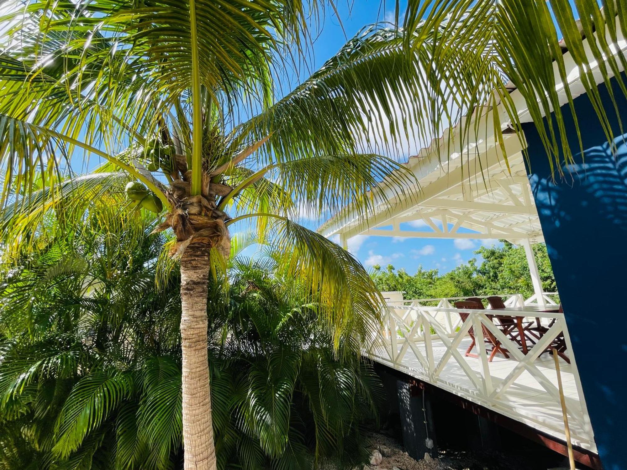 Mini Resort Kaya Verdi วิลเลมสตัด ภายนอก รูปภาพ
